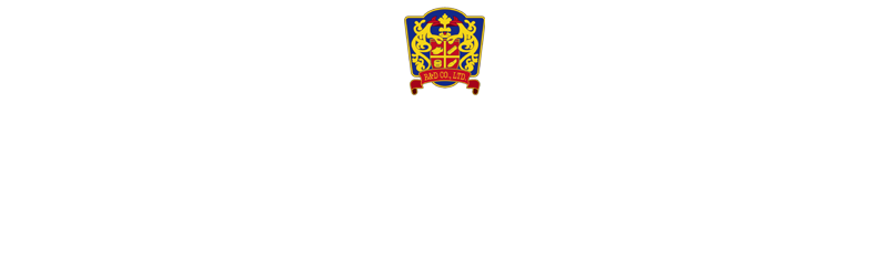 R&D shoes case meister